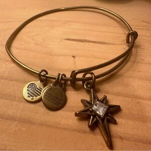 Alex and Ani North Star 2017 charm bangle bracelet
